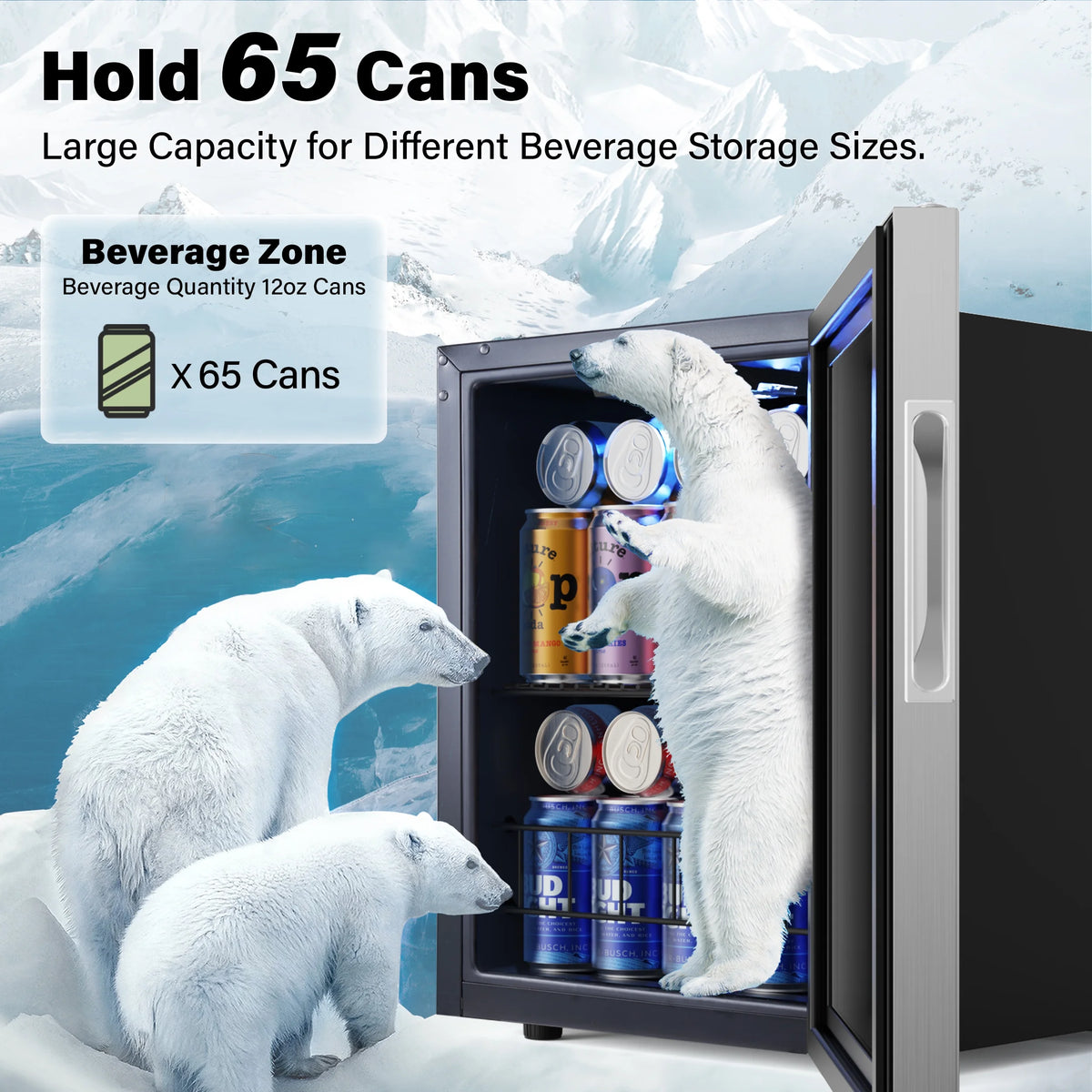 62-65 Can Glass Door Beverage Refrigerator C816