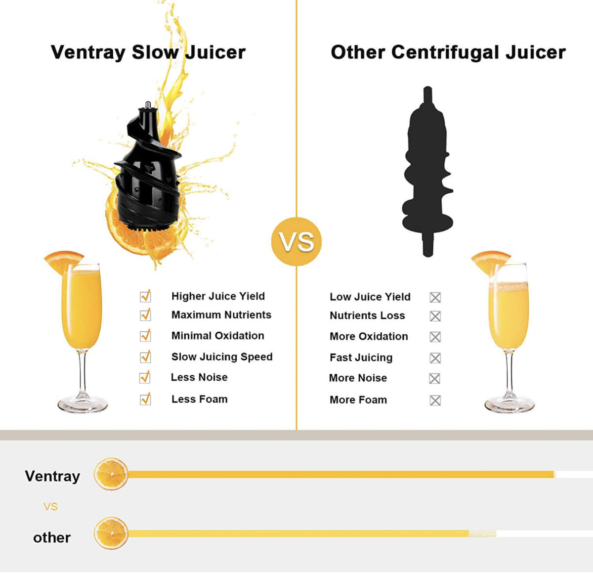 Black Masticating Juicer Q3025