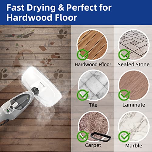 10-in-1 Handheld Steam Cleaner with 11 Accessories M979