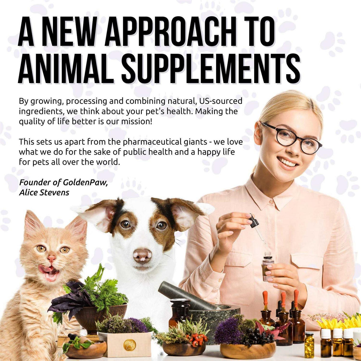 10 In 1 Cat & Dog Hip & Joint Multivitamin N2283