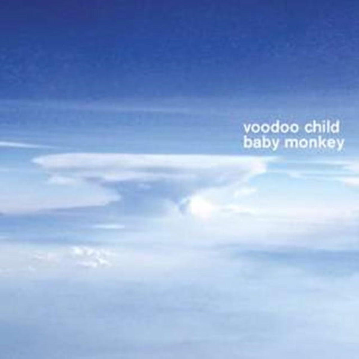 Baby Monkey X3201