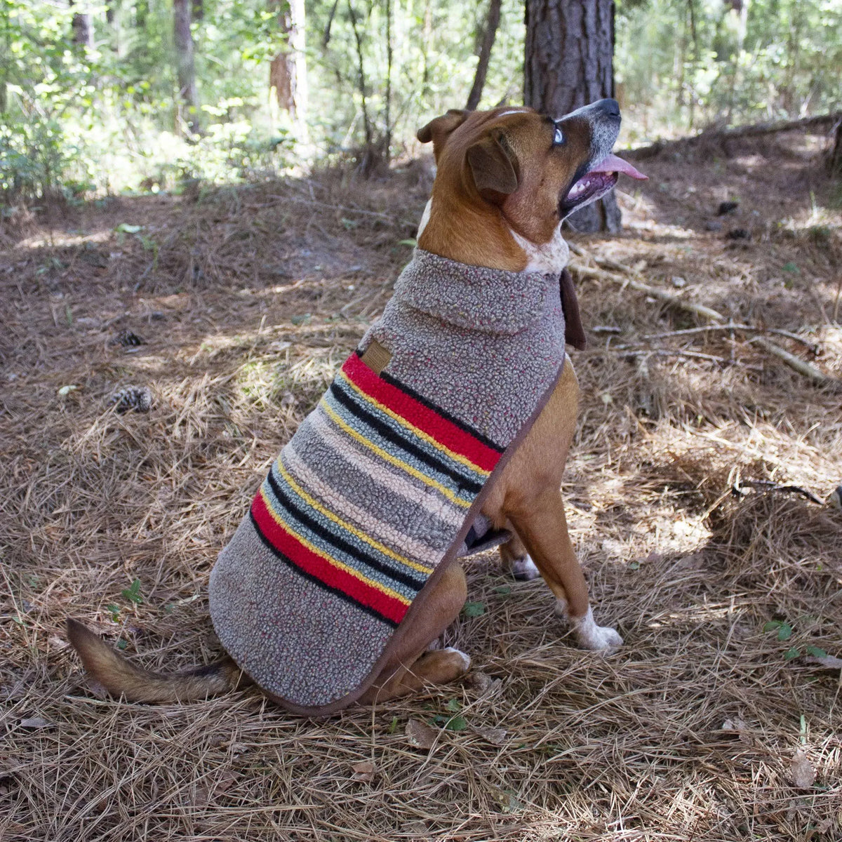 Umber Medium Dog Coat H6763
