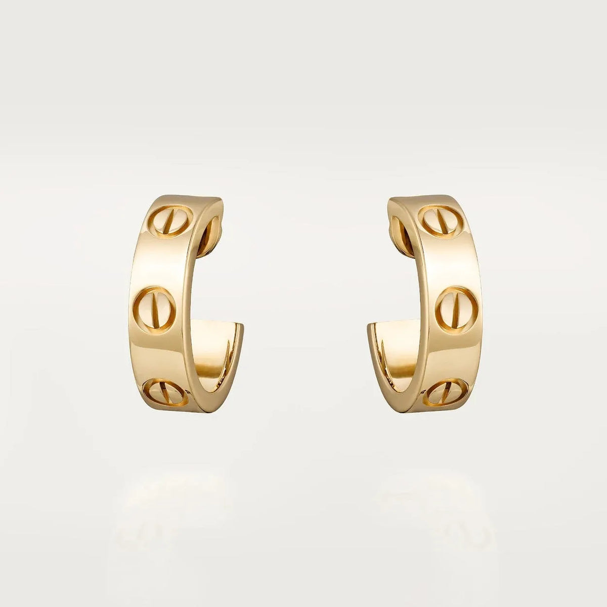 Earrings N165
