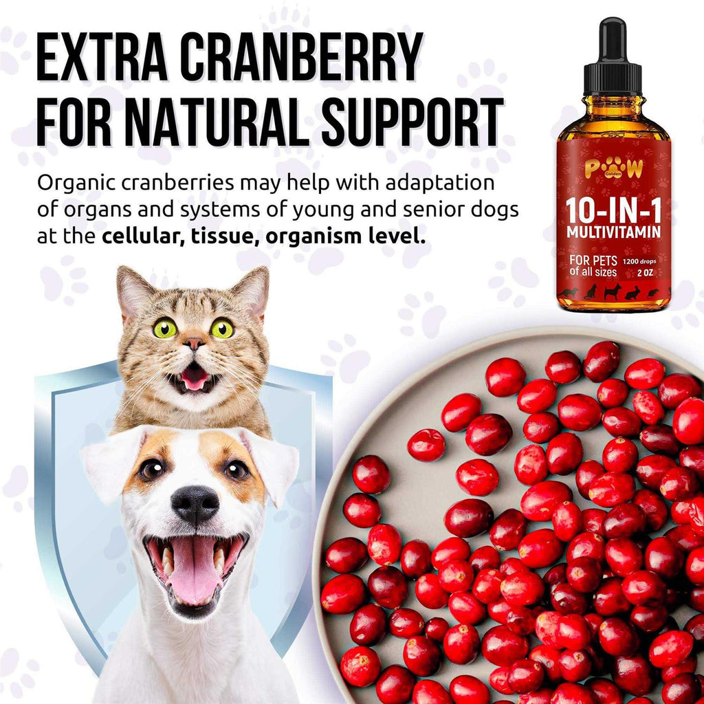 10 In 1 Cat & Dog Hip & Joint Multivitamin N2283