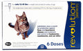 Revolution for Cats 5-15 lb 6 pack M976