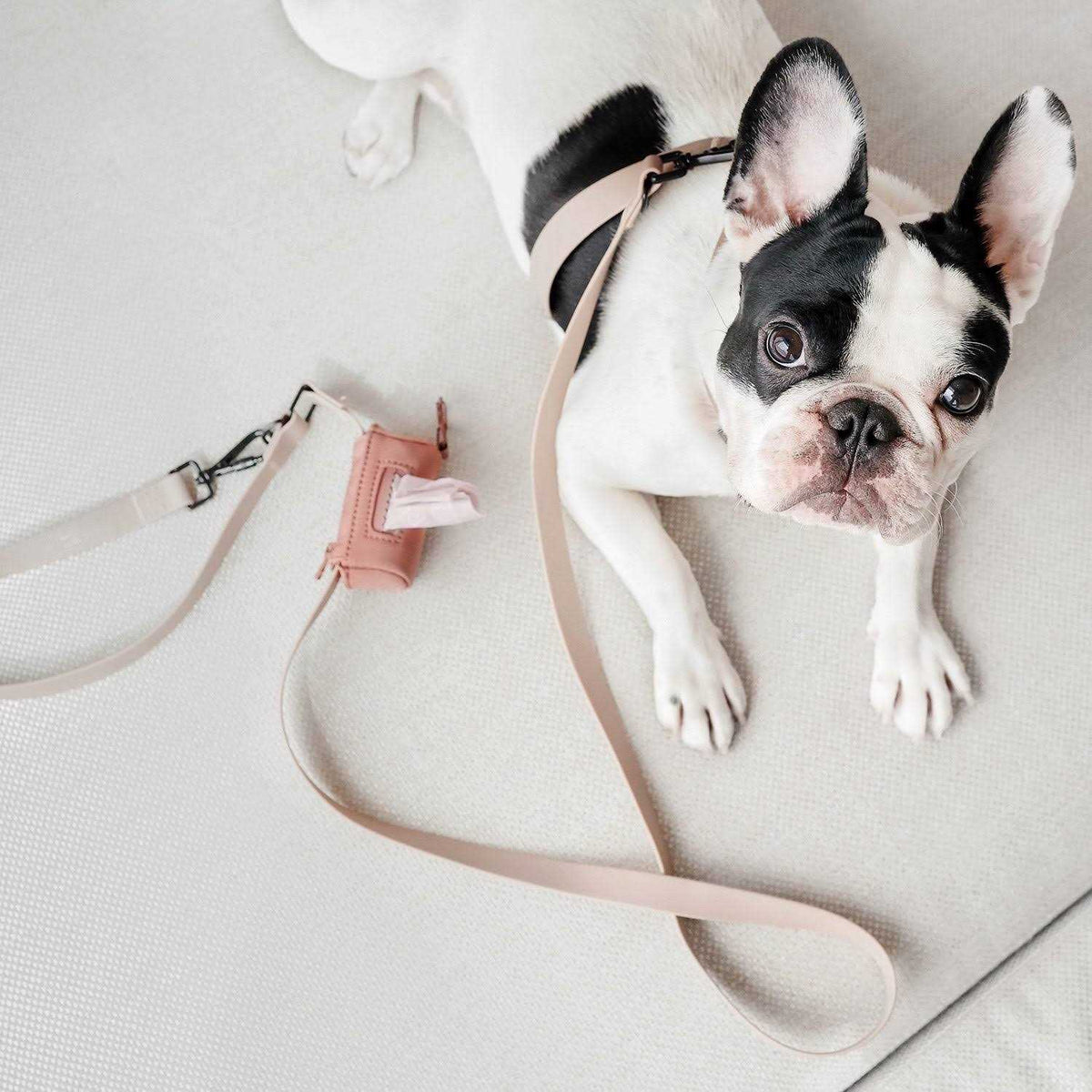 Hands Free Long Dog Leash P6514