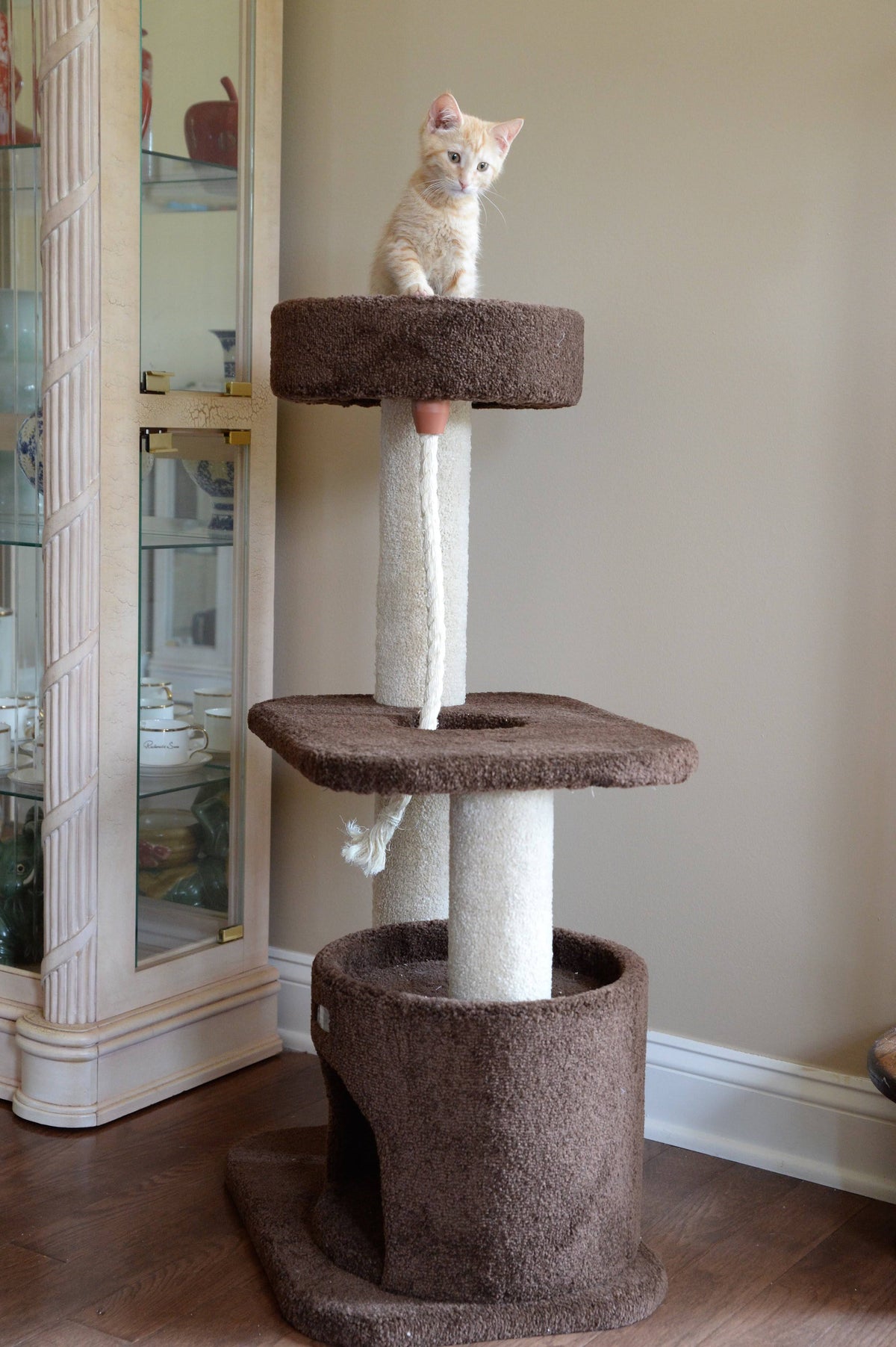 Carpeted Cat Tree Q700637