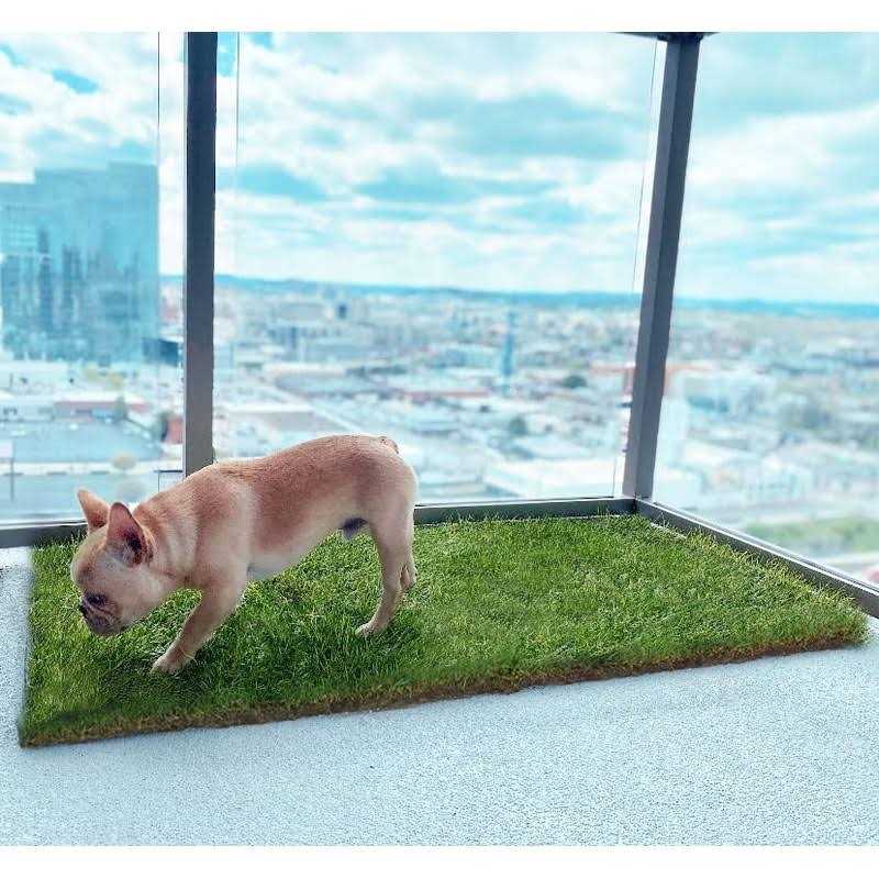 Dog Potty Real Grass M921807