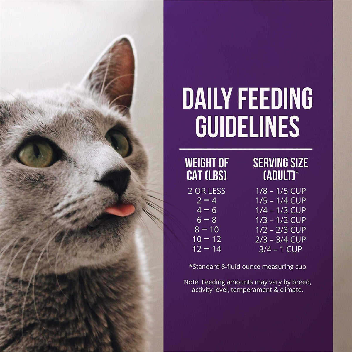 Quail & Duck Meal Dry Cat Food H551