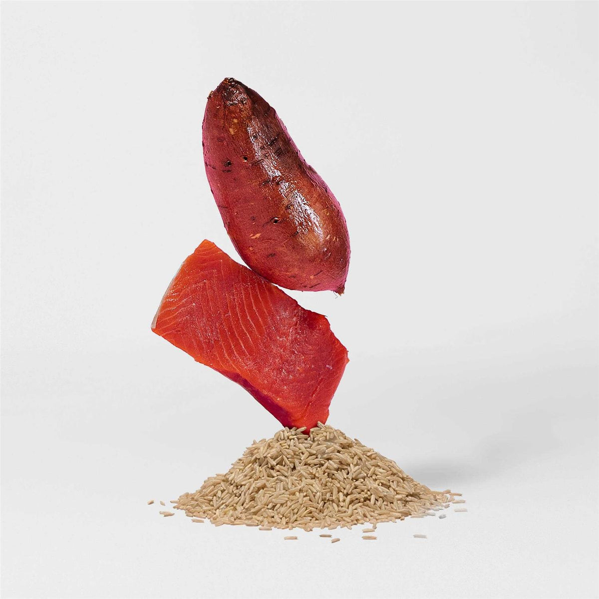 Salmon Brown Rice & Sweet Potato Dry Dog Food L90856