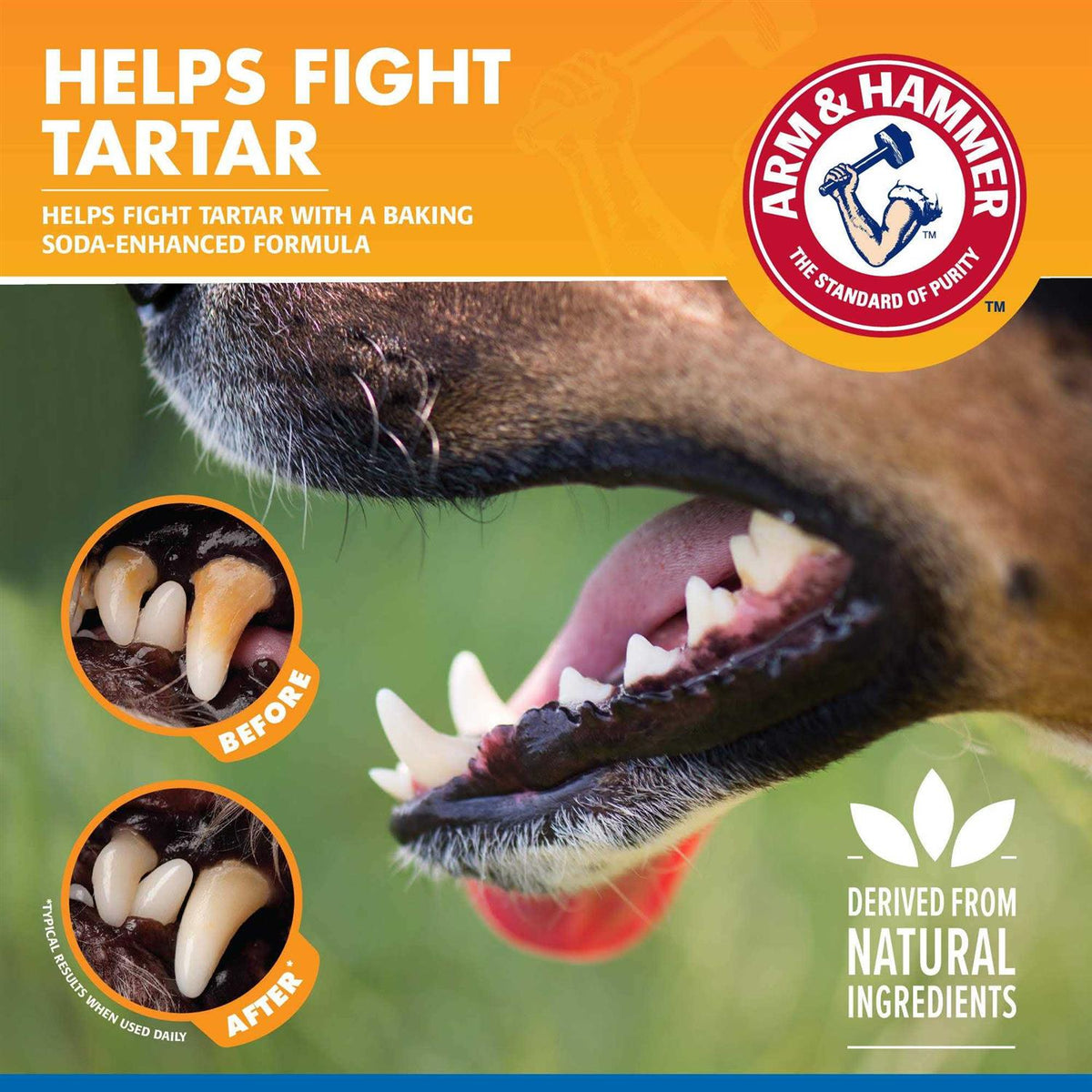 Tartar Control Dental Spray for Dogs X871955