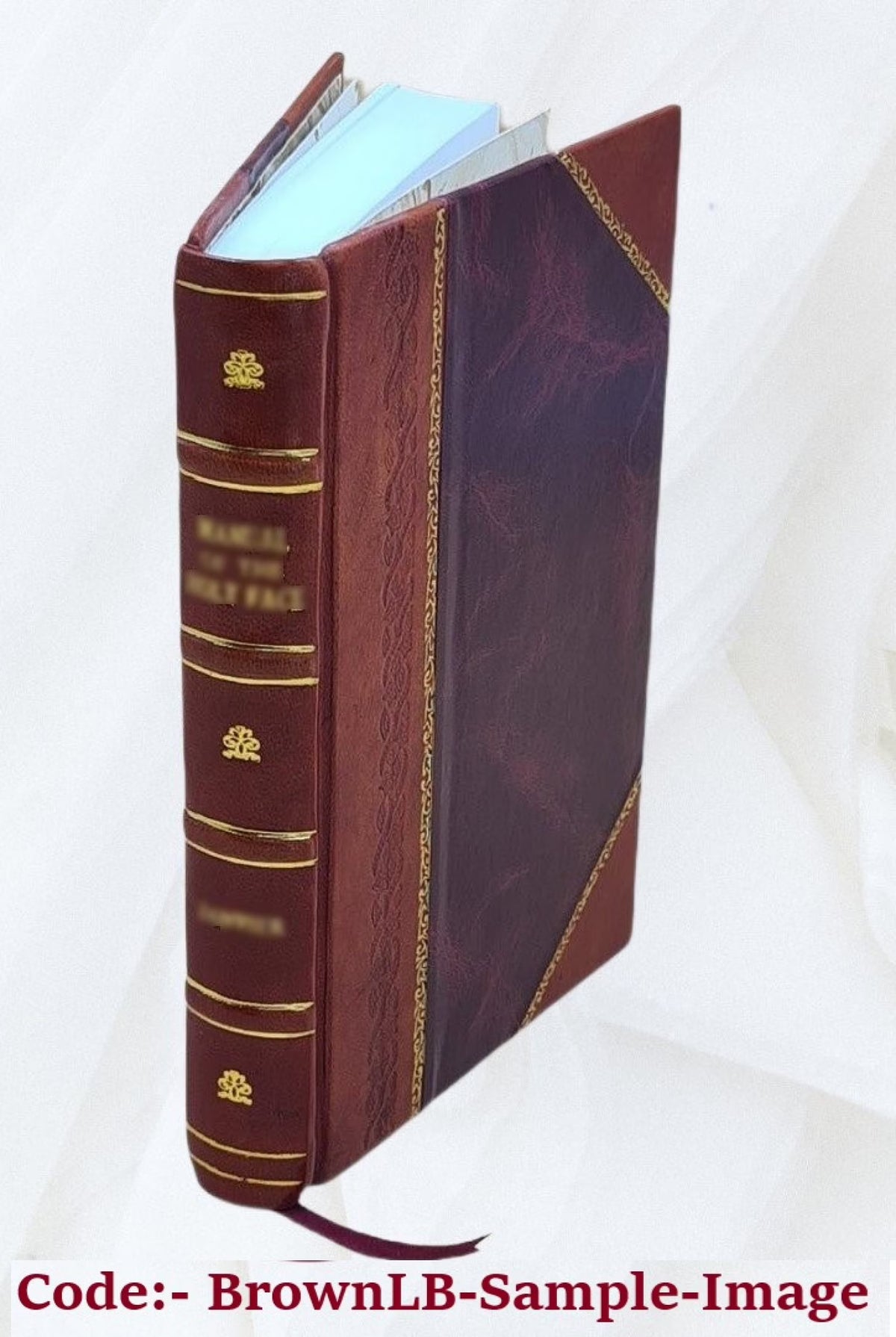 The Grand Mademoiselle: from the memoirs of Charles-Alexandre, comte de Lannoy, premier écuyer to the king, Louis XIV / by James Eugene Farmer. 1899 [Leather Bound] W709086