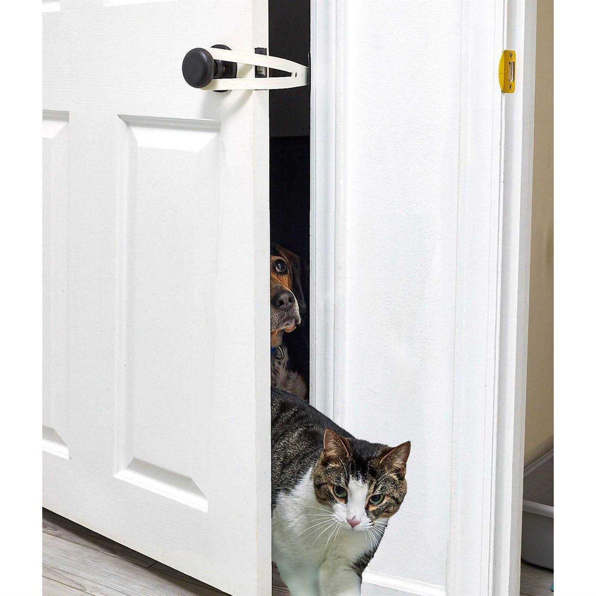 Cat Door Holder Q7981