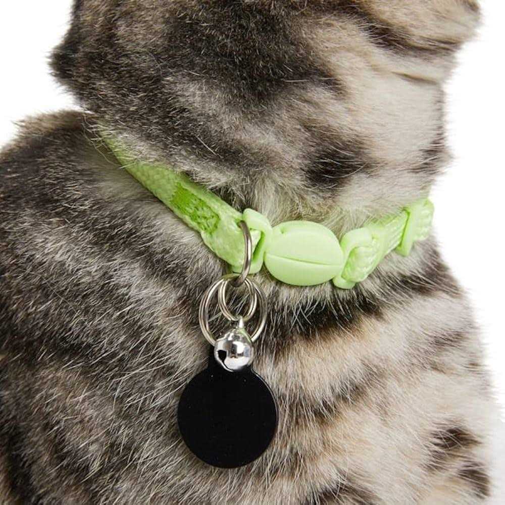 Glow in the Dark Green Kitten Collar E2888